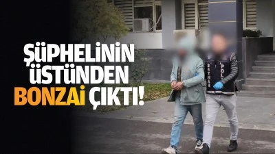 Şüphelinin üstünden bonzai çıktı!