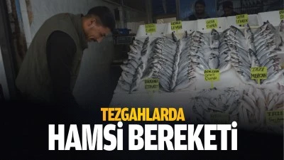 Tezgahlarda hamsi bereketi…