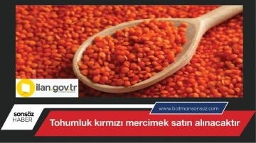 Tohumluk kırmızı mercimek satın alınacaktır