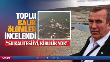 Toplu balık ölümler incelendi; “Su kalitesi iyi, kirlilik yok”