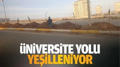 Üniversite yolu yeşilleniyor