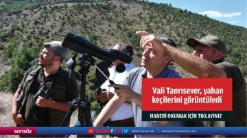  Vali Tanrısever, yaban  keçilerini görüntüledi