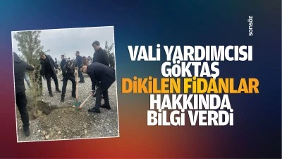 Vali Yardımcısı Göktaş, dikilen fidanlar hakkında bilgi verdi