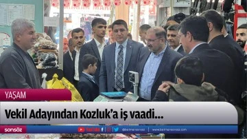 Vekil Adayından Kozluk’a iş vaadi…