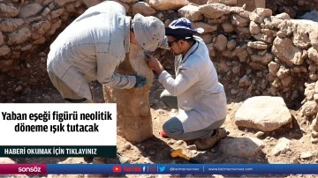 Yaban eşeği figürü neolitik döneme ışık tutacak