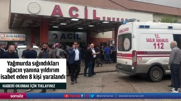 Yağmurda sığındıkları ağacın yanına yıldırım isabet eden 8 kişi yaralandı