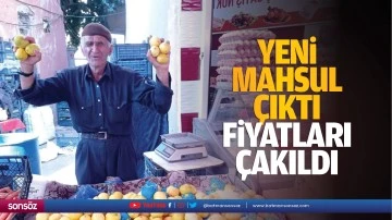 Yeni mahsul çıktı, fiyatları çakıldı