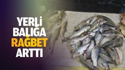 Yerli balığa rağbet arttı