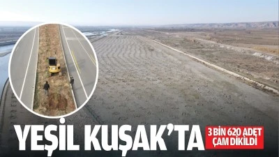 Yeşil Kuşak’ta 3 bin 620 adet çam dikildi