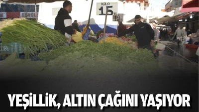 Yeşillik, altın çağını yaşıyor