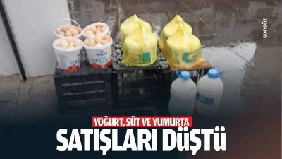 Yoğurt, süt ve yumurta satışları düştü