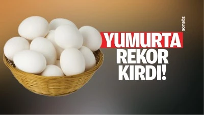 Yumurta rekor kırdı!