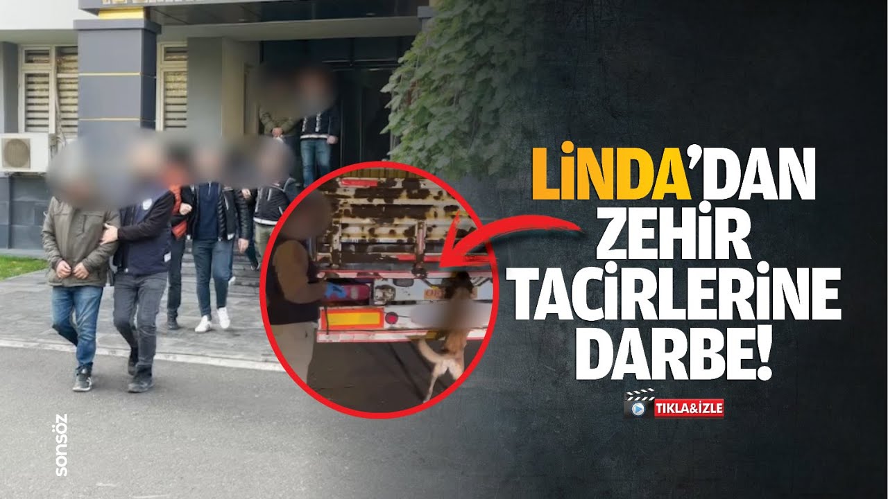 Narkotik köpek Linda'dan zehir tacirlerine darbe!