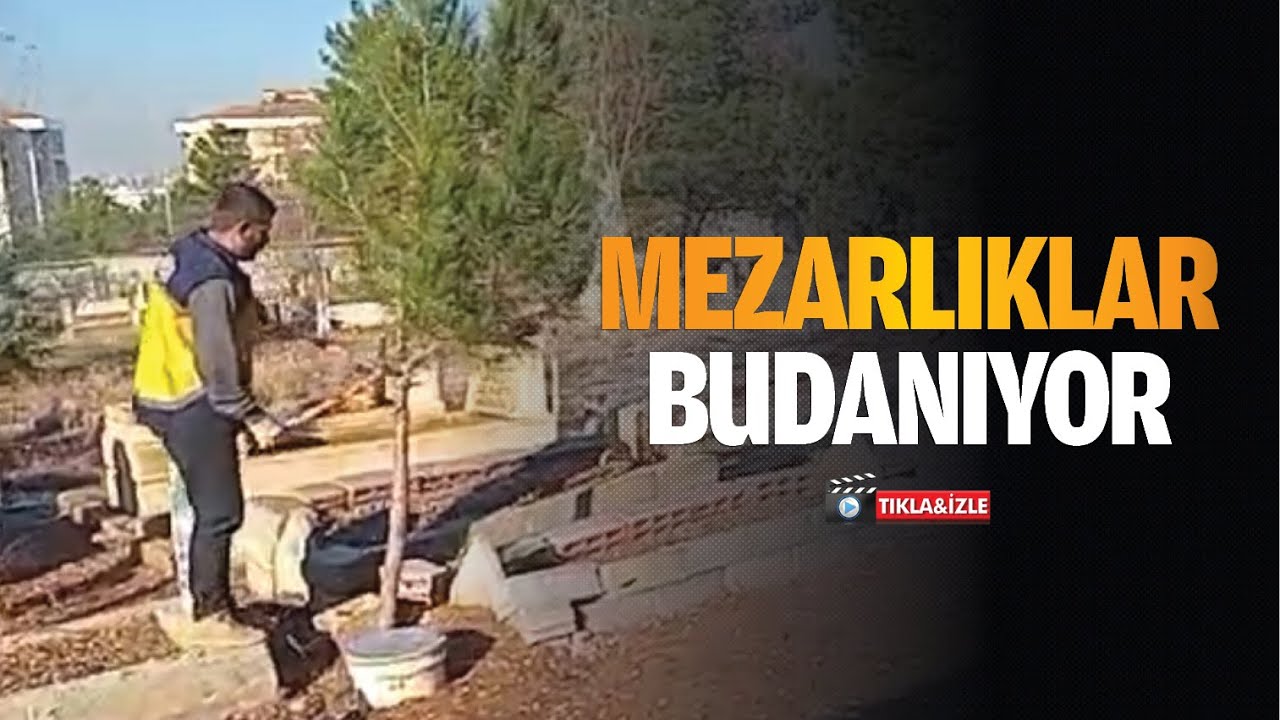 Mezarlıklar budanıyor