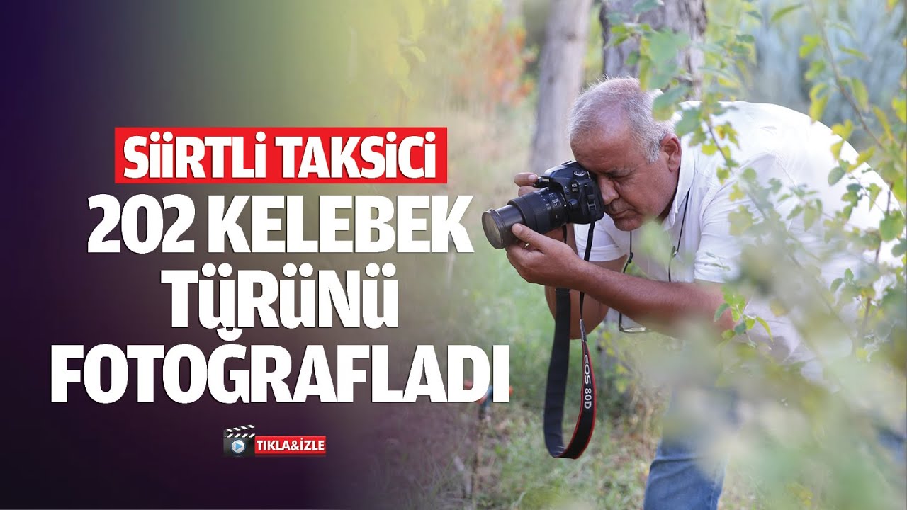 Siirtli taksici, 202 kelebek türünü fotoğrafladı