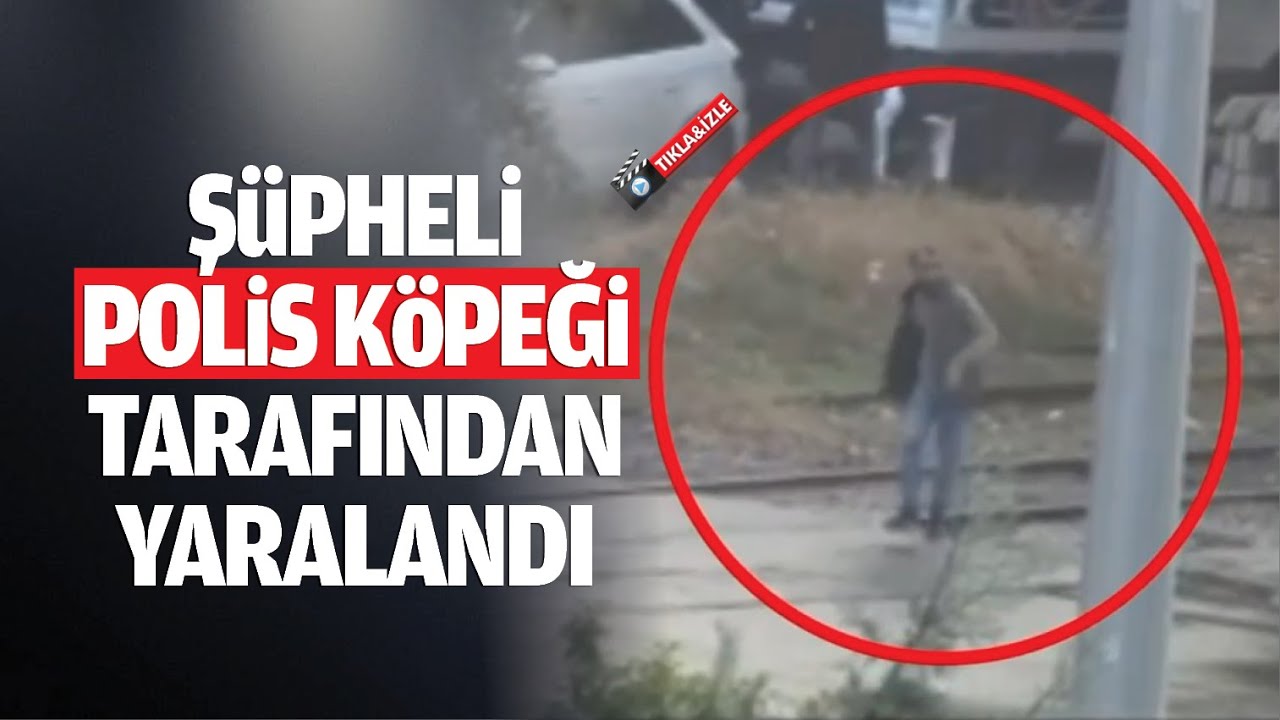 Şüpheli, polis köpeği tarafından yaralandı