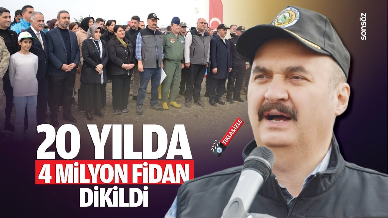 20 yılda 4 milyon fidan dikildi